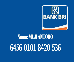 Bank BRI
